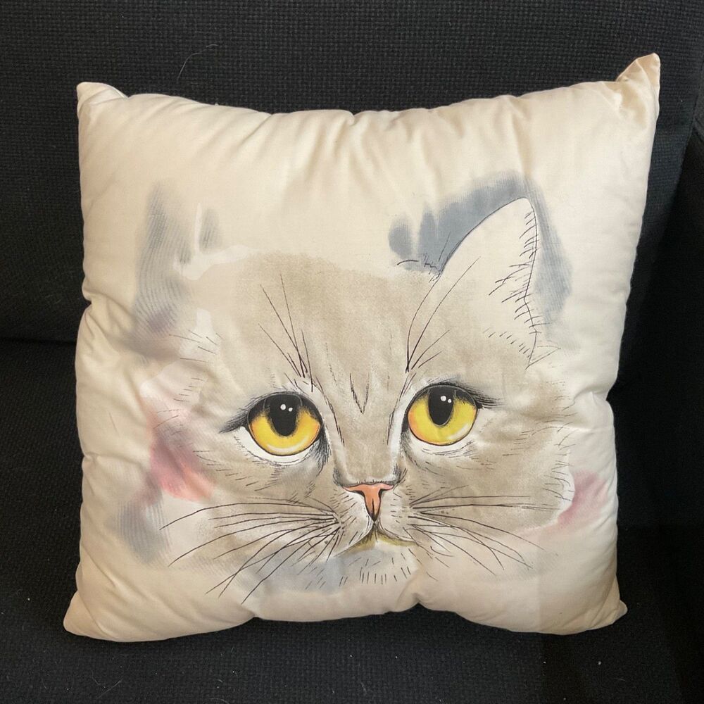 Cat Pillow Soft Throw Pillow about  17x17” For the Crazy Cat lady in your life